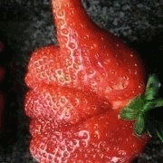 牛逼(草莓)