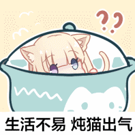 生活不易，炖猫出气