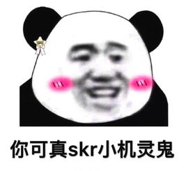 你可真skr小机灵鬼