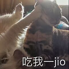 吃我一jio