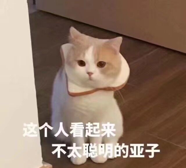 这个人看起来不太聪明的亚子