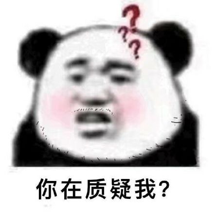 你在质疑我？