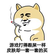 游戏打得跟屎一样，皮肤却一套一套的买