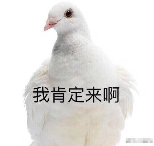 我肯定来啊