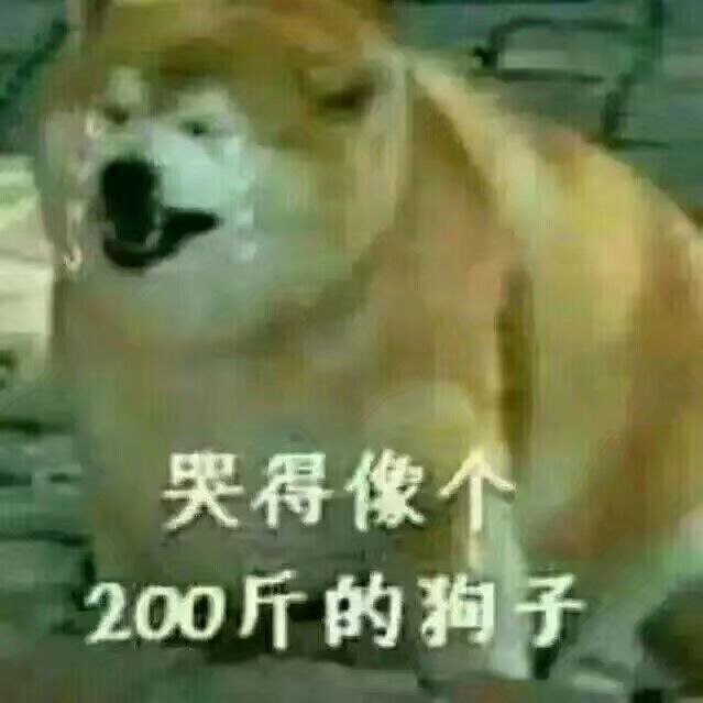 哭得像个200斤的狗子