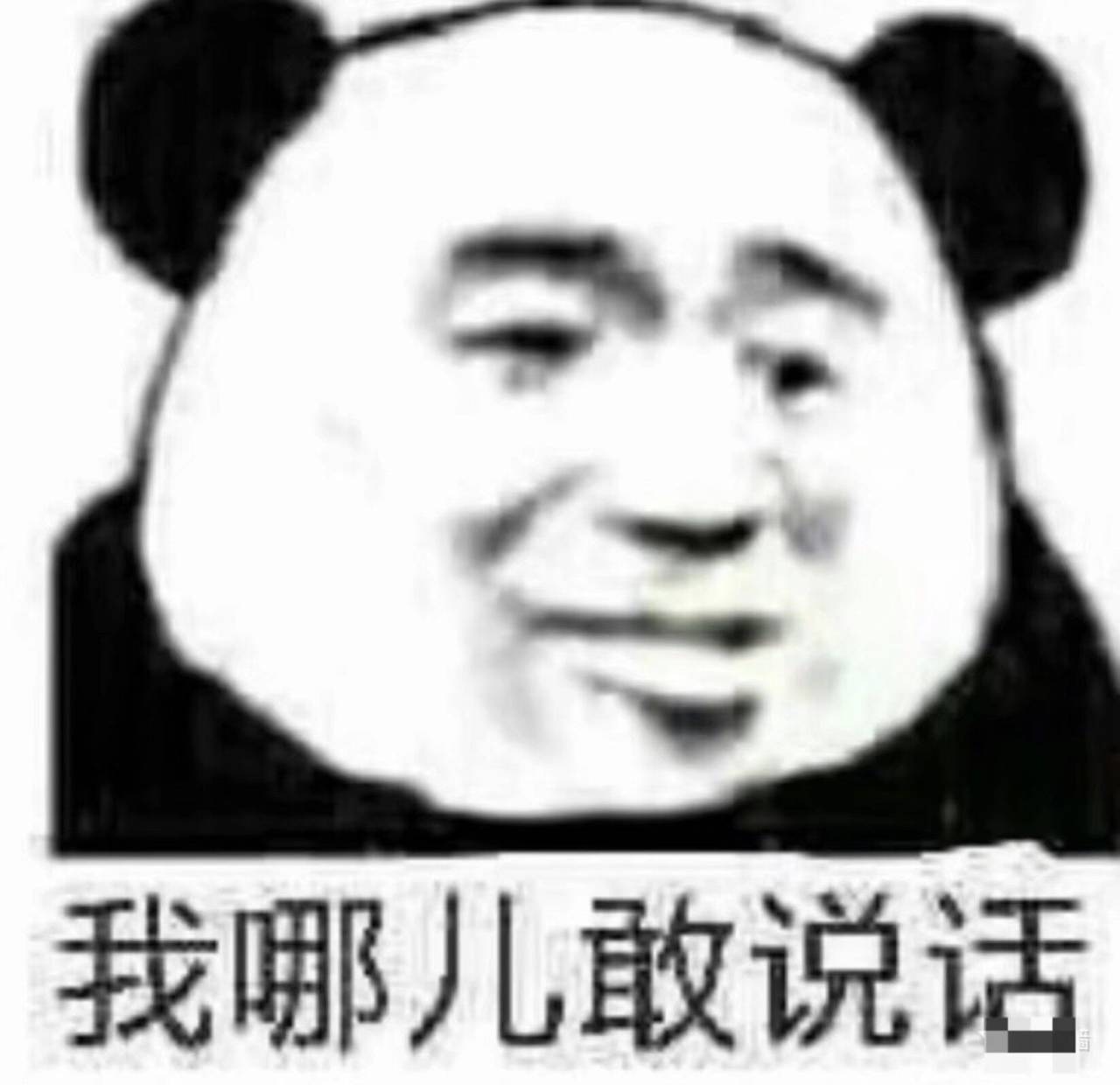 我哪儿敢说话