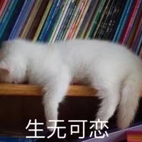生无可恋