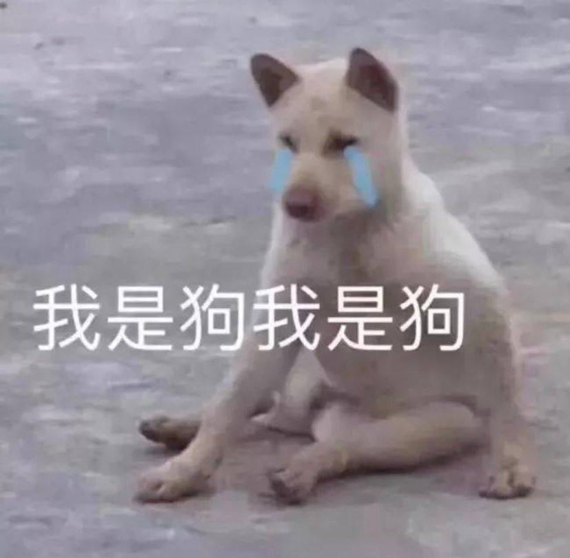 我是狗我是狗