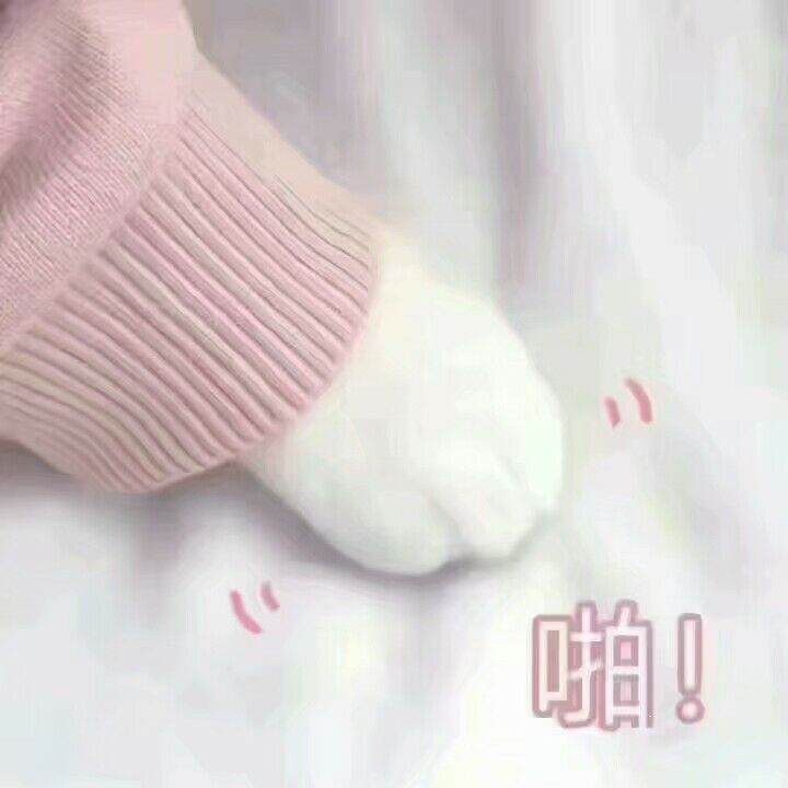 啪（猫爪）