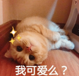 我可爱么？