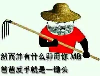 然而兼有什么卵用，你MB爸爸反手就是一锄头