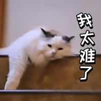 我太难了