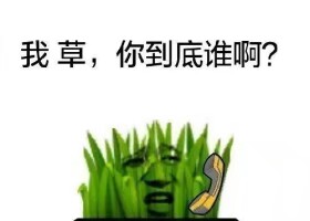 我草，你到底谁啊？