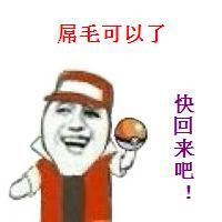 属毛可以了，快回来吧