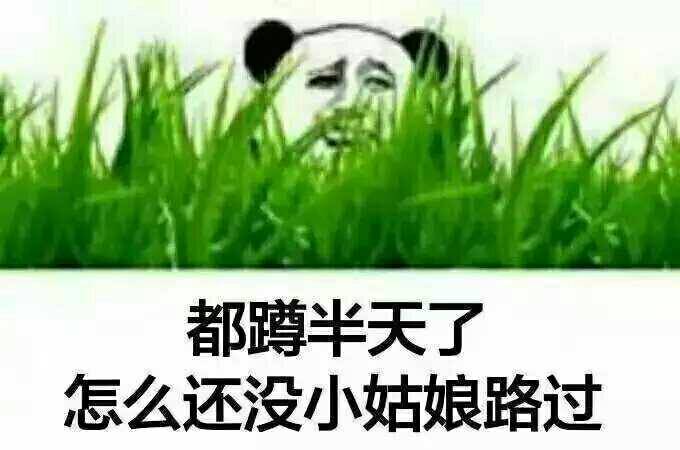 都蹲半天了，怎么还没小姑娘路过