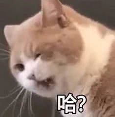 哈？