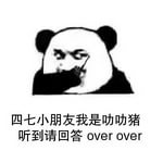 四七小朋友我是叻叻猪，听到请回答 over over