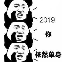 2019你依然单身