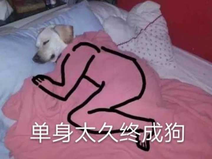 单身太久终成狗