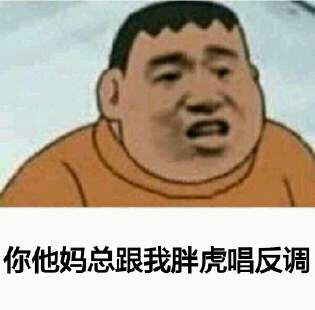 你他妈总跟我胖虎唱反调