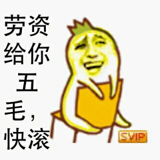 劳资给你五毛快滚SVIP