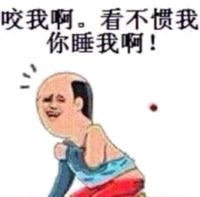 咬我啊，看不惯我你睡我啊！