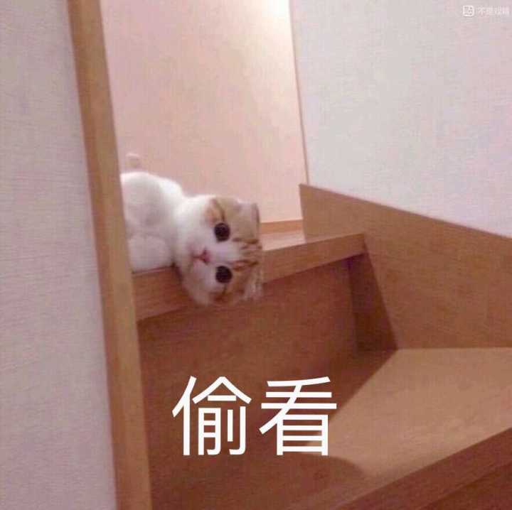 偷看