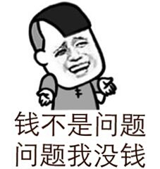 钱不是问题，问题我没钱