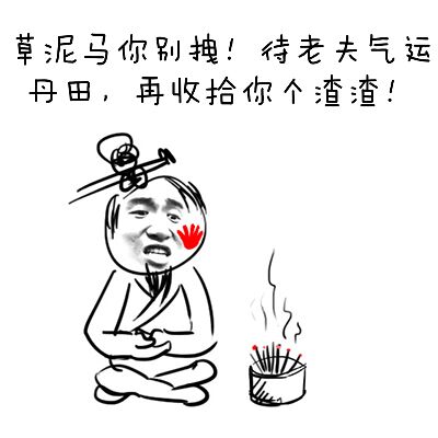 草泥尼马你别拽！待老夫气运丹田，再收拾你个渣查！