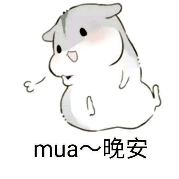 mua~晚安