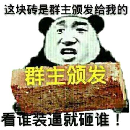 这块砖是群主颁发给我的