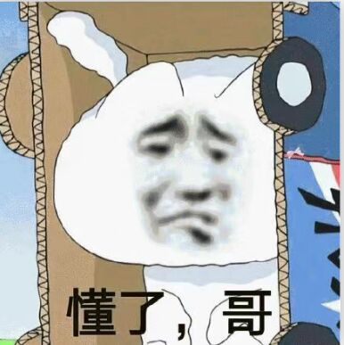 懂了，哥