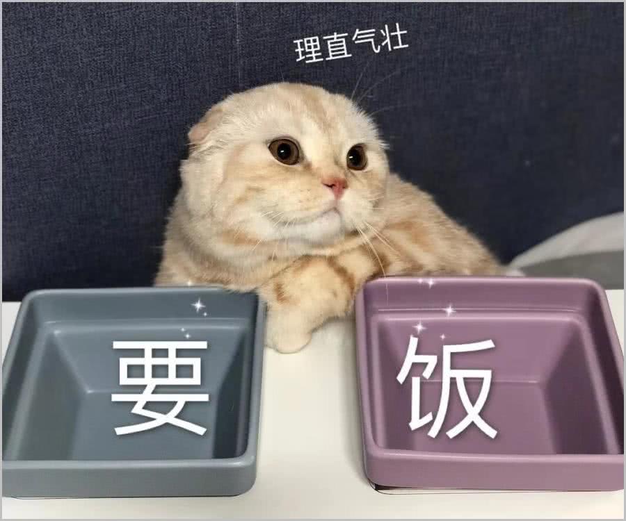 要饭中