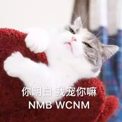 明白我龙你嘛，NMB WCNM