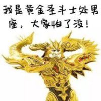 我是黄金圣丰士处男座，太你啪了遇！