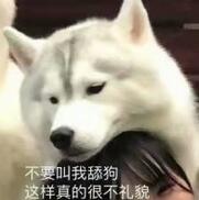 不要叫我舔狗，这样真的很不礼貌