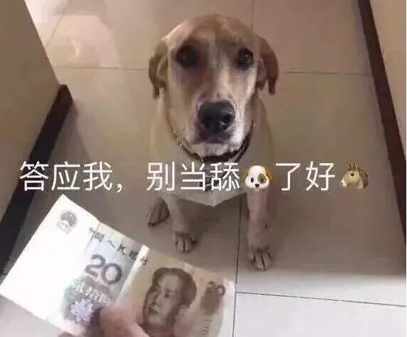 答应我，别当舔狗了好吗？