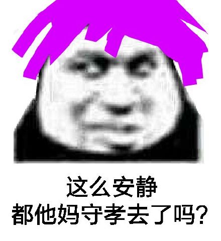 这么安静都他妈守孝去了吗？