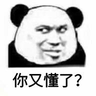 你又懂了？