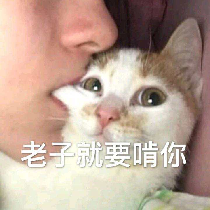 老子就要啃你