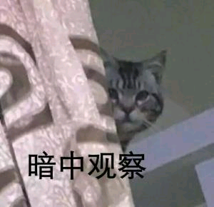 暗中观察