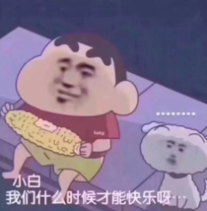 小白我们什么时候才能快乐呀