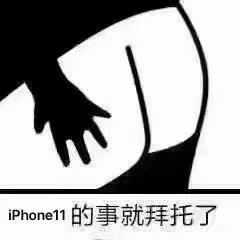 iPhone11的事就拜托了