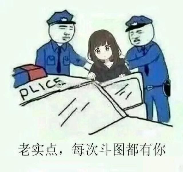 老实点，每次斗图都有你