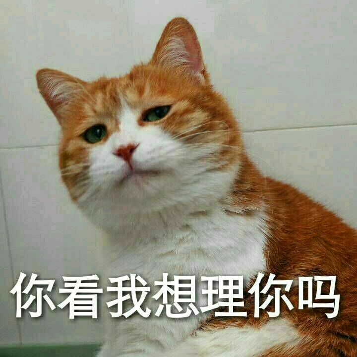 你看我想理你吗