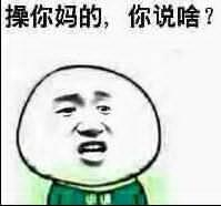 操你妈的，你说啥？