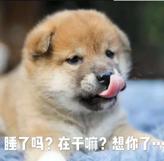 睡了吗？在干嘛？想你了