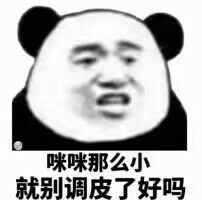 咪咪那么小，就别调皮了好吗