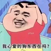 我心爱的狗东西在吗？