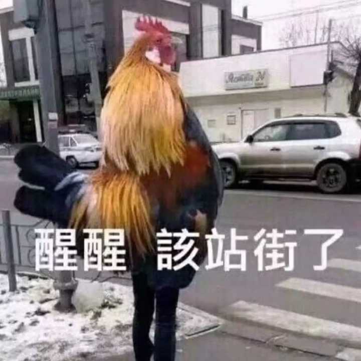 醒醒，该站街了